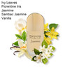 Pheromone Jasmine Perfume .5 oz