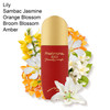 Pheromone Red Body Creme 6.7 oz