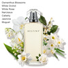 Destiny Eau De Parfum Vial Sample 1.5 ml