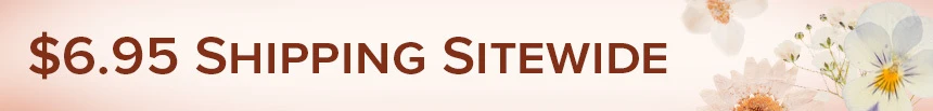 Text Announcing a Flash Free Shipping Offer through Noon on Sunday August 29th!