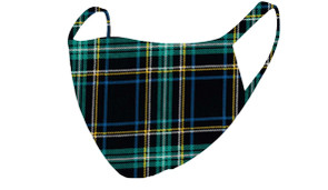 2 Layer Reusable Mask-Plaid