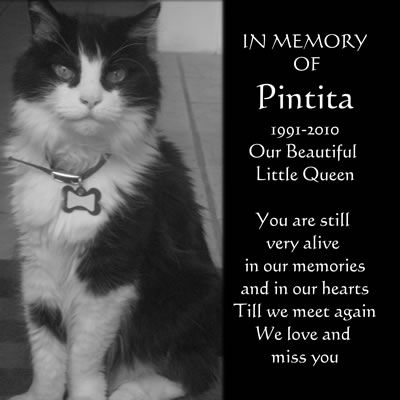 Aluminium Pet Memorial Plaques