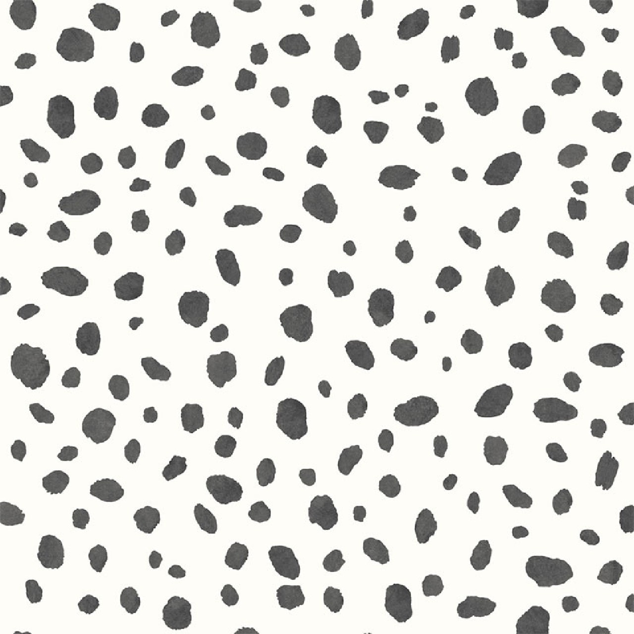 12940 Dalmatian Black and White Wallpaper By Holden Décor