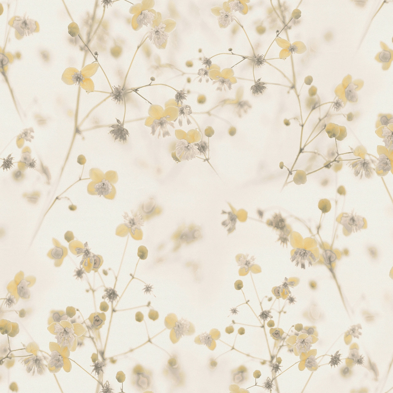 BW51037 Delicate Buttercup Blooming Wild Wallpaper By Galerie