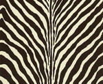 Bartlett Zebra