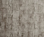 Treebark