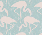 Flamingos