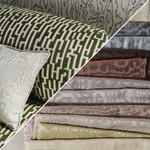 Harlequin X Henry Holland