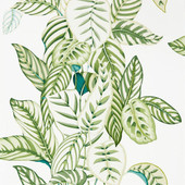 216630 Calathea Glasshouse Wallpaper By Sanderson 216630 Calathea Glasshouse Wallpaper By Sanderson