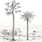 CBBA84379353 Laguna Wall Panel By Casadeco