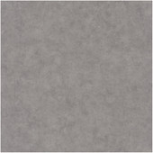 BET101489600 Uni Mat Beton Wallpaper by Caselio BET101489600 Uni Mat Beton Wallpaper by Caselio
