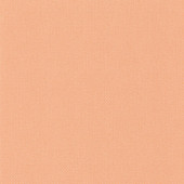 NAE101564135 Uni Natte Wallpaper by Caselio NAE101564135 Uni Natte Wallpaper by Caselio