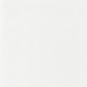 NAE101569233 Uni Natte Wallpaper by Caselio