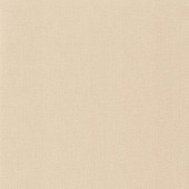 NAE101571106 Uni Metallise Natte Wallpaper by Caselio