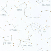 OUP101917125  Constellations Our Planet Wallpaper by Caselio