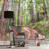 DD118626 Forest Walk Designwalls Wallpaper by A S Creation DD118626 Forest Walk Designwalls Wallpaper by A S Creation