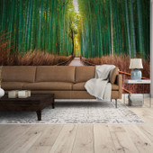 DD118630 Bamboo Walk Designwalls Wallpaper by A S Creation DD118630 Bamboo Walk Designwalls Wallpaper by A S Creation