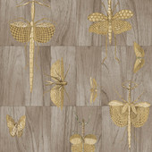 42002 Wings Ligna Wallpaper by Arte