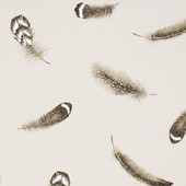 W0097/01 Plumis Botanica Wallpaper By Clarke & Clarke