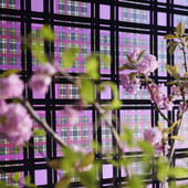 PDG1143/01 Chennai Scenes and Murals II Wallpaper By Designers Guild PDG1143/01 Chennai Scenes and Murals II Wallpaper By Designers Guild