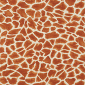 T10221 Makena Colony Wallpaper By Thibaut