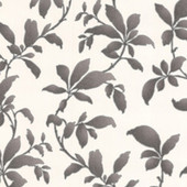 19602 Premier Vinyl - Sarra Sarra Black Wallpaper by Graham & Brown 19602 Premier Vinyl - Sarra Sarra Black Wallpaper by Graham & Brown