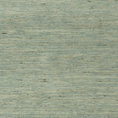 T85004 Maranta Arrowroot Greenwood Wallpaper By Thibaut T85004 Maranta Arrowroot Greenwood Wallpaper By Thibaut