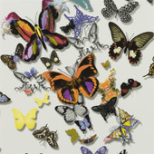 PCL008/01 ( PCL00801 ) Butterfly Parade Carnets Andalous Wallpaper by Christian Lacroix PCL008/01 ( PCL00801 ) Butterfly Parade Carnets Andalous Wallpaper by Christian Lacroix