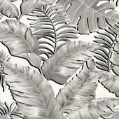 BMTD001/06A Banana Leaves Tropical Daze Wallpaper by Brand McKenzie BMTD001/06A Banana Leaves Tropical Daze Wallpaper by Brand McKenzie