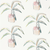 111992 Crassula Zanzibar Wallpaper By Scion 111992 Crassula Zanzibar Wallpaper By Scion