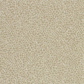 312870 Wallis Darnley Wallpaper by Zoffany