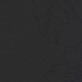 Kandola Adore Amati Plain Black - W1482/03 Pattern Kandola Adore Amati Plain Black - W1482/03 Pattern