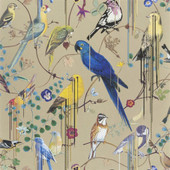 PCL7017/04 Birds Sinfonia Histoires Naturelles Wallpaper by Christian Lacroix PCL7017/04 Birds Sinfonia Histoires Naturelles Wallpaper by Christian Lacroix