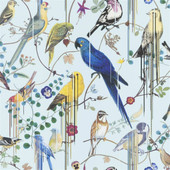 PCL7017/06 Birds Sinfonia Histoires Naturelles Wallpaper by Christian Lacroix PCL7017/06 Birds Sinfonia Histoires Naturelles Wallpaper by Christian Lacroix
