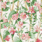03114-01 Elena Papiers Peints Vol 8 Wallpaper by Manuel Canovas 03114-01 Elena Papiers Peints Vol 8 Wallpaper by Manuel Canovas