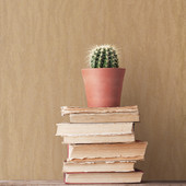 SK34745 Metallic Textile Nordic Elements Wallpaper by Galerie SK34745 Metallic Textile Nordic Elements Wallpaper by Galerie