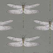 111242 (HGAT111242) Demoiselle Colour 2 Wallpaper by Harlequin