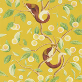 112905 ( HDHW112905 ) Nellie Harlequin x Diane Hill Wallpaper By Harlequin 112905 ( HDHW112905 ) Nellie Harlequin x Diane Hill Wallpaper By Harlequin