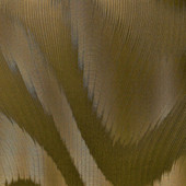 1611-3 Three Surface Wallpaper by Today Interiors 1611-3 Three Surface Wallpaper by Today Interiors