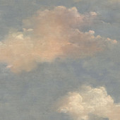 FJ30902 Westerly Transition Wallpaper by Today Interiors