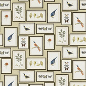 213399 ( DVOY213399 ) Picture Gallery One Sixty Wallpaper by Sanderson