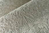 MO4003 Mimic Moth Memento Moooi Dodo Wallpaper By Arte MO4003 Mimic Moth Memento Moooi Dodo Wallpaper By Arte