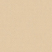 BW51040 Plain Texture Blooming Wild Beige and Metallic Wallpaper By Galerie