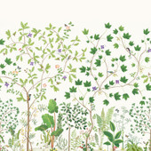 217211 Sycamore and Oak Arboretum Botanical Green Wallpaper by Sanderson