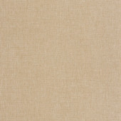 100601520 Let's Go Girls! Plain Wallpaper By Caselio 100601520 Let's Go Girls! Plain Wallpaper By Caselio