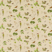 227060 Woodland Chorus Arboretum Birch Multi Fabric by Sanderson 227060 Woodland Chorus Arboretum Birch Multi Fabric by Sanderson