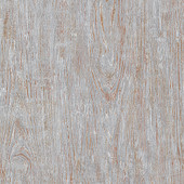 10307-10 Focus Wallpaper By Erismann