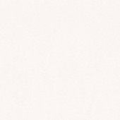 34932-3 Styleguide Colours 2024 Wallpaper by A S Creation