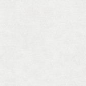 11605-5 Styleguide Colours 2024 Wallpaper by A S Creation