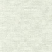 VEL102847000 Uni Mat Velvet Wallpaper By Caselio VEL102847000 Uni Mat Velvet Wallpaper By Caselio